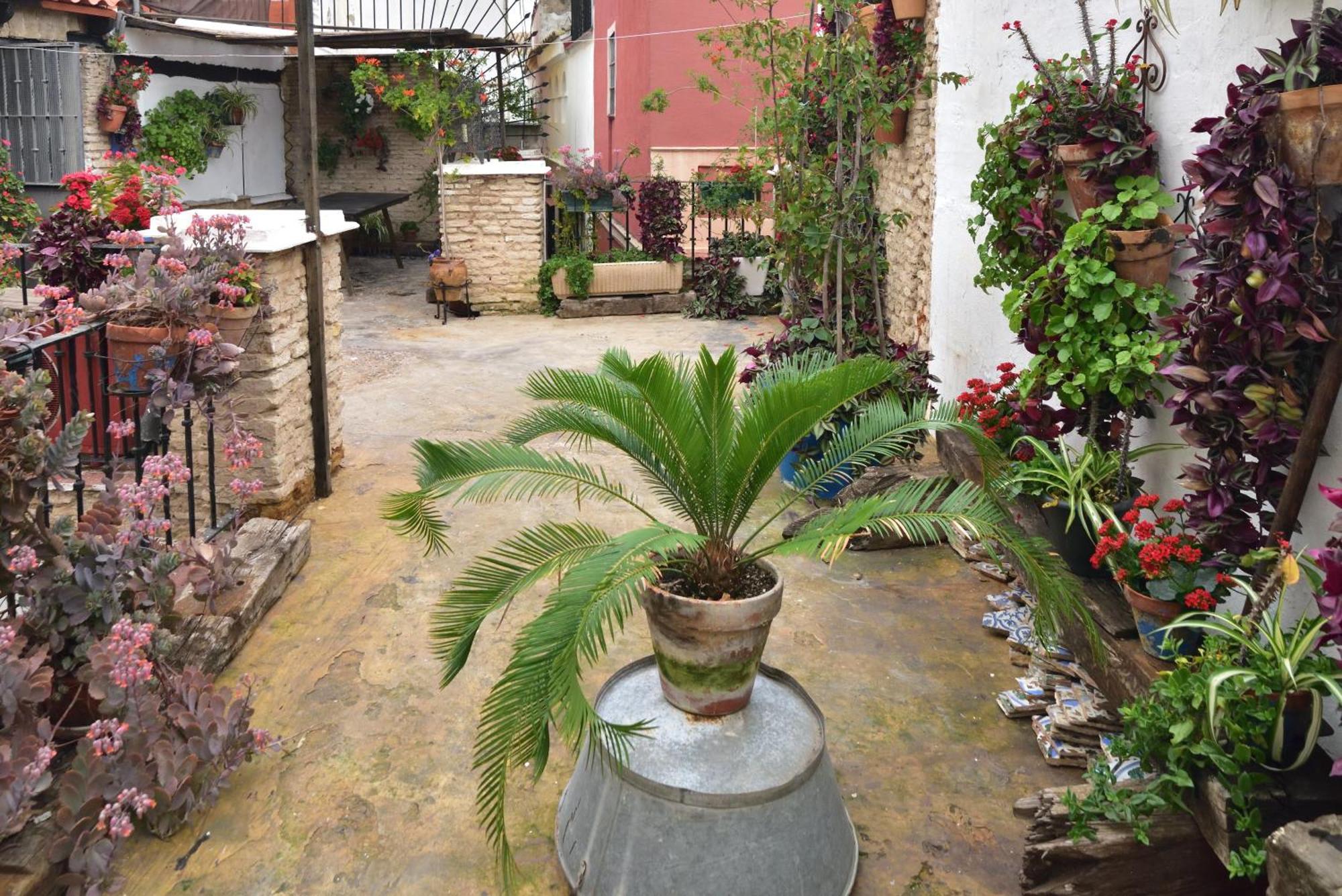 Suite Dona Ines Barrio Santacruz Sevilla Exterior foto