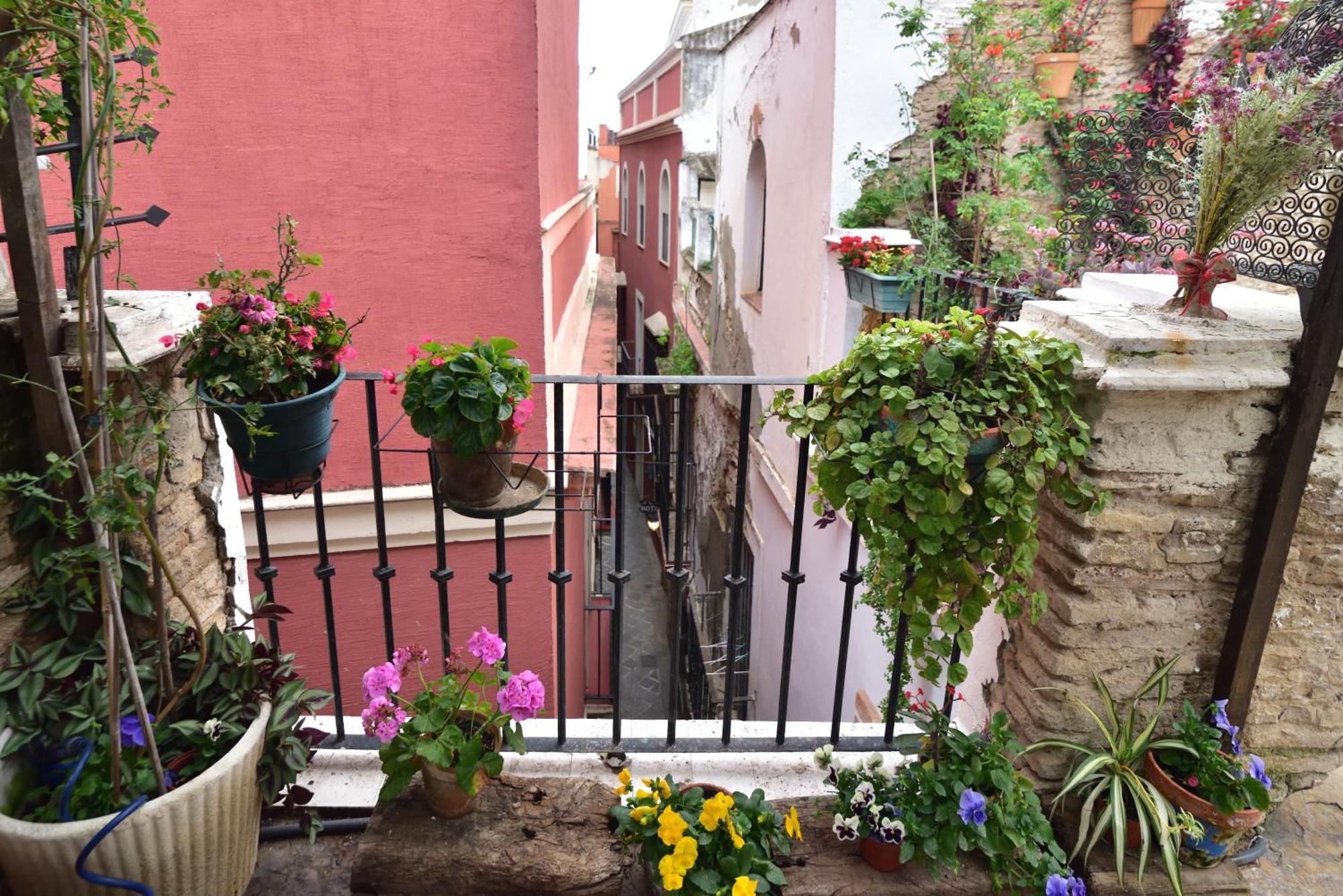 Suite Dona Ines Barrio Santacruz Sevilla Exterior foto